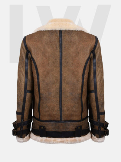 Leathwear Haddock B3 Brown Bomber Jacket Men Back Side